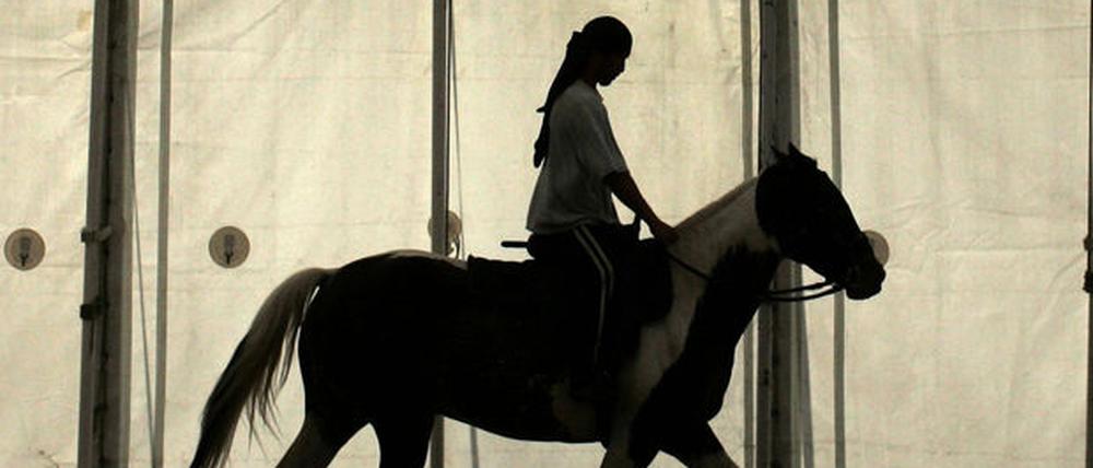 Cavalia