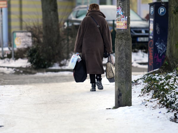 Winter in Potsdam. Glätte, Kälte, Verkehr, Tiere.