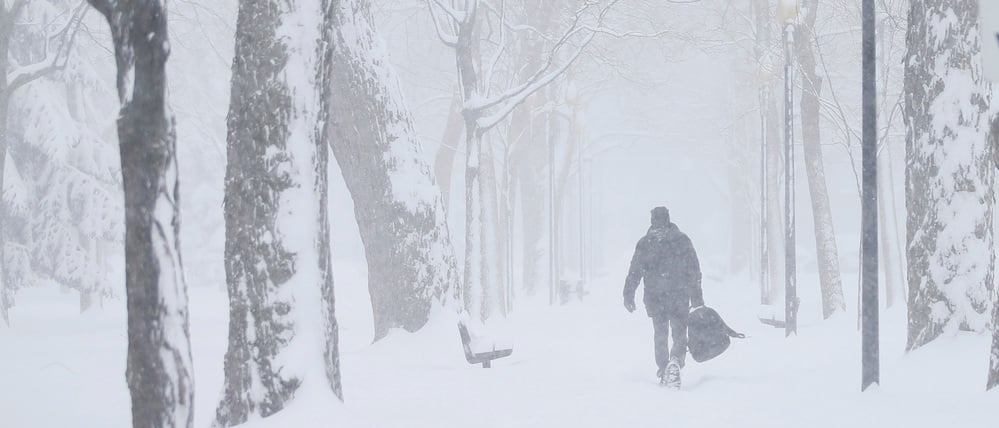 Schnee in einem Park