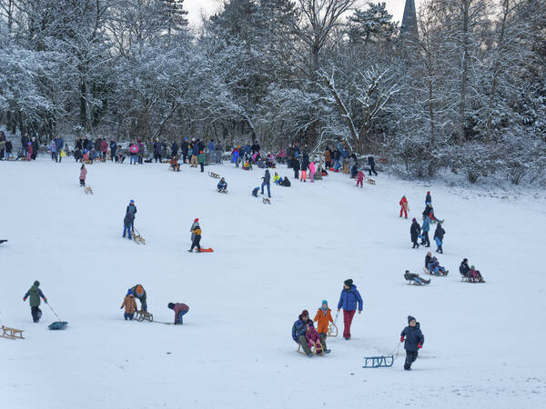 Rodeln in der Hasenheide, Winter, Schnee, Wetter, Jahreszeiten, Berlin-Neukoelln, Rodeln in der Hasenheide, Winter, Schnee, Schlittenfahren, Wetter, Kälte, Jahreszeiten, Berlin-Neukoelln, *** Tobogganing in the Hasenheide, winter, snow, weather, seasons, Berlin Neukoelln, Tobogganing in the Hasenheide, winter, snow, sledging, weather, cold, seasons, Berlin Neukoelln,