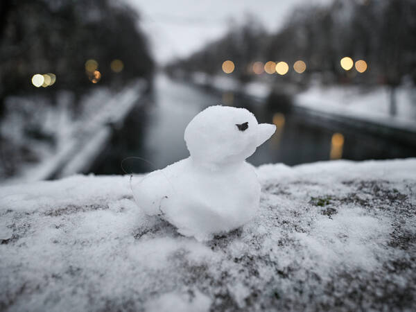 Snowfall in Berlin BERLIN, GERMANY - JANUARY 03: A duck made of snow is seen in Berlin as the city center blanketed in white following snowfall in the German capital on January 03, 2026. Halil Sagirkaya / Anadolu Berlin Germany. Editorial use only. Please get in touch for any other usage. PUBLICATIONxNOTxINxTURxUSAxCANxUKxJPNxITAxFRAxAUSxESPxBELxKORxRSAxHKGxNZL Copyright: x2026xAnadoluxHalilxSagirkayax