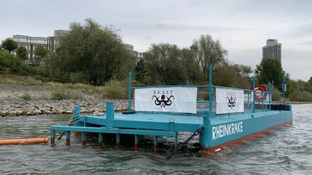 Die Müllfalle – genannt "Rheinkrake" – schwimmt an ihrer Position auf dem Rhein in Köln. (Archivbild)