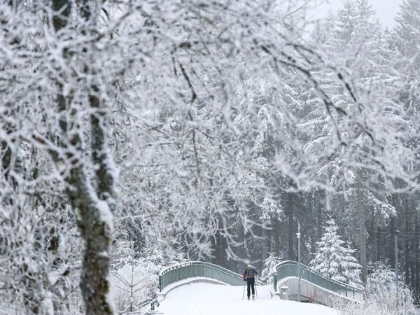 08.01.2026, Sachsen, Mühlleithen: Ein Mann ist mit Langläufern auf der verschneiten Kammloipe im Vogtland unterwegs. Foto: Jan Woitas/dpa +++ dpa-Bildfunk +++