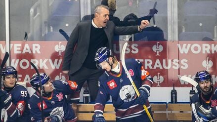 Cheftrainer Serge Aubin muss mit den Eisbären Berlin eine Niederlage in Iserlohn hinnehmen. 