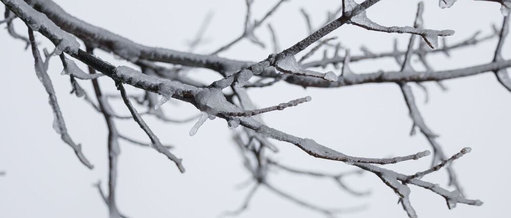 Besonders kalt war es in der vergangenen Nacht in Coschen. (Symbolbild)