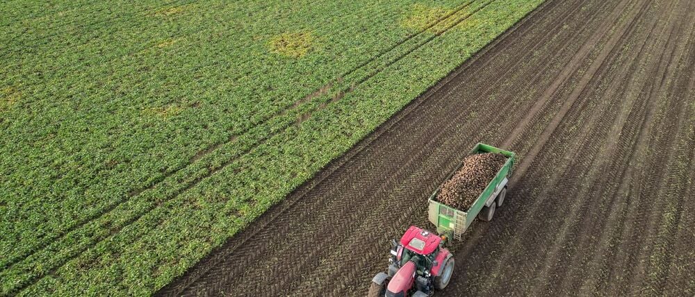 Die Preise für viele Agrarprodukte sind derzeit unter Druck. (Archivbild)