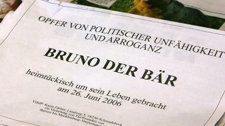 Bär Bruno