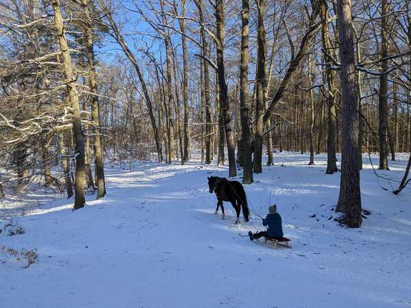 Potsdamer Wald im Schnee (Ravensberge)