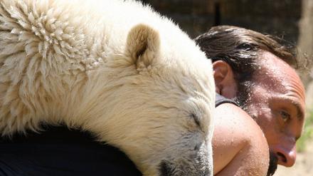 Knut