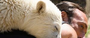 Knut