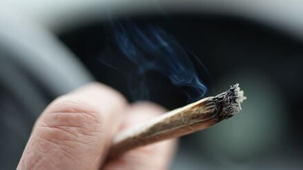 Bei einer Verkehrskontrolle in Berlin entdeckte die Polizei mehr als 240 Tütchen mit mutmaßlichem Cannabis. (Symbolbild)