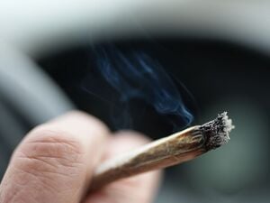 Bei einer Verkehrskontrolle in Berlin entdeckte die Polizei mehr als 240 Tütchen mit mutmaßlichem Cannabis. (Symbolbild)