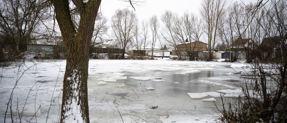 Der Teich, in dem der Eisbader verunglückt ist.