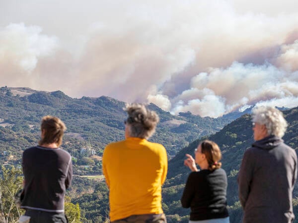 Wildfire Rages in Topanga People watch while smoke from the Palisades Fire rises over the hills in Pacific Palisades, California, on January 7, 2025. The fast-moving brushfire scorched more than 200 acres, prompting evacuations as strong winds fueled its spread. Toponga California United States Copyright: xSamxGhazix