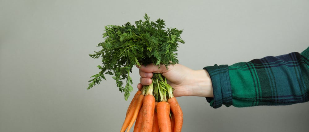 Bio-Möhren aus Brandenburg: Berlin ist der wichtigste Markt.