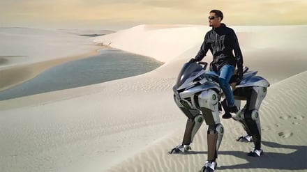 Corleo, Kawasakis Pony.