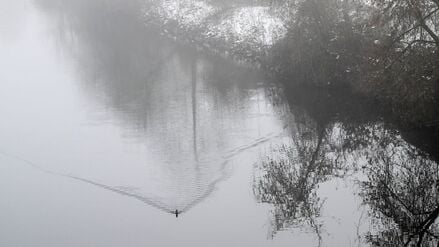 Der DWD prognostiziert neben anhaltender Glätte auch Nebel.