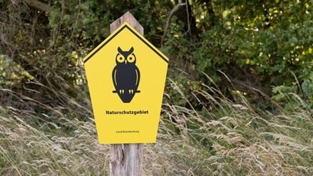 So soll die Beschilderung von Naturschutzgebieten in Brandenburg künftig aussehen. Das Bild wurde mit Hilfe von KI generiert.