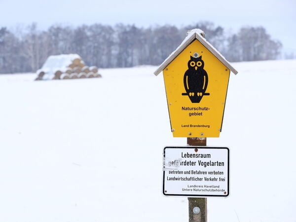 Havelland, Naturschutzgebiet, Winter, Schnee, Land Brandenburg, 10.02.2021, Foto: Sebastian Gabsch