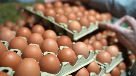 Eine Mitarbeiterin stellt Eier in ein Regal in einem Supermarkt. 