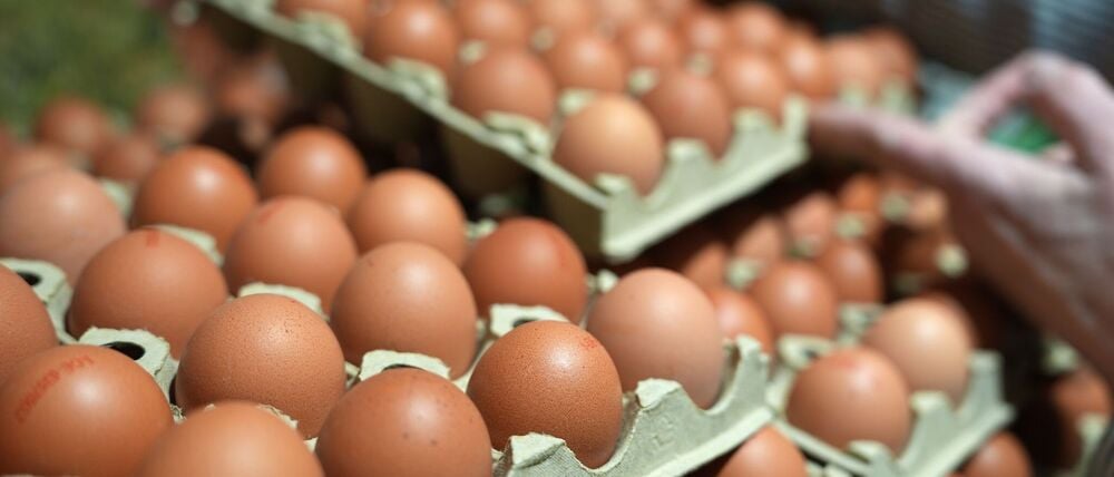 Eine Mitarbeiterin stellt Eier in ein Regal in einem Supermarkt. 