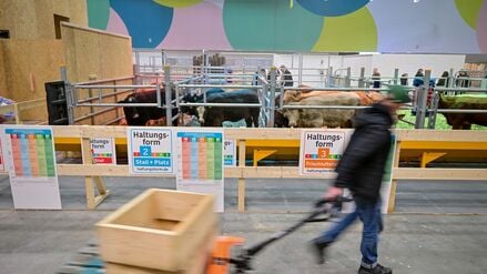 Ein Messebauer geht vor der 90. Internationalen Grünen Woche in der Tierhalle an einem Stand zum Thema Haltungsformen vorbei.