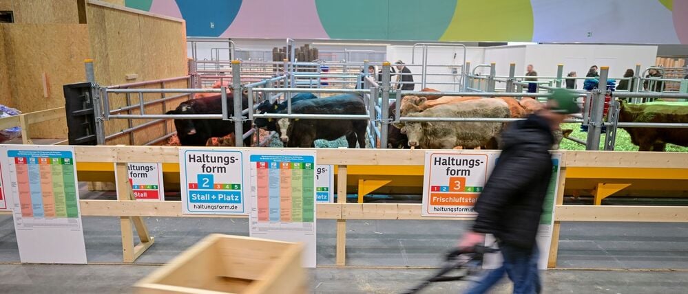 Ein Messebauer geht vor der 90. Internationalen Grünen Woche in der Tierhalle an einem Stand zum Thema Haltungsformen vorbei.