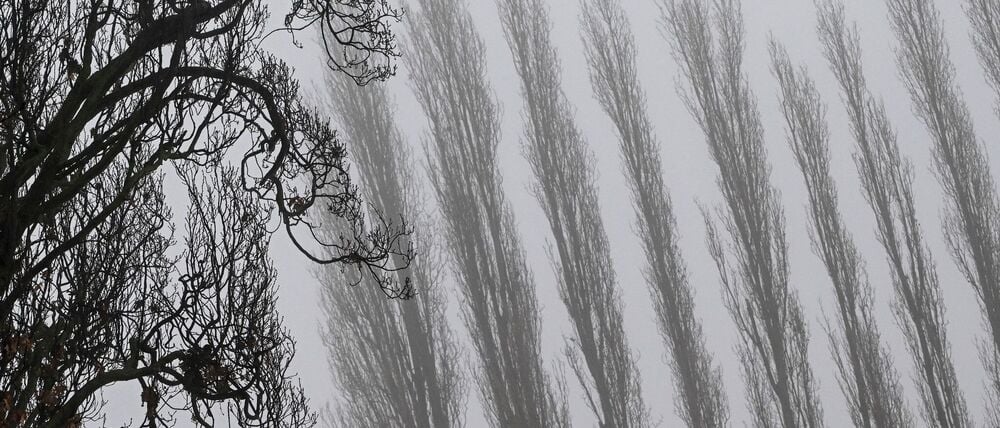 Auch am Donnerstagmorgen bleibt es stellenweise neblig. (Archivbild)
