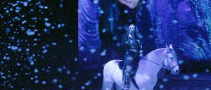 Cavalia