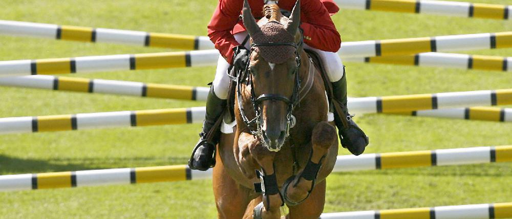 Ludger Beerbaum