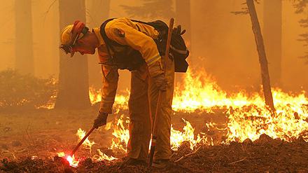 Waldbrand