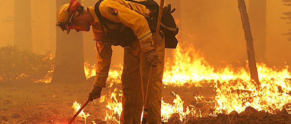 Waldbrand