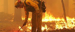 Waldbrand