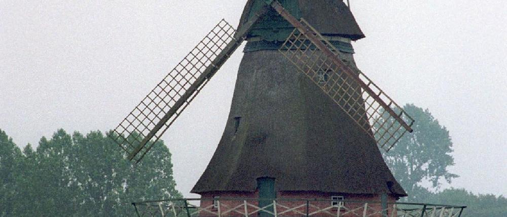 Wind