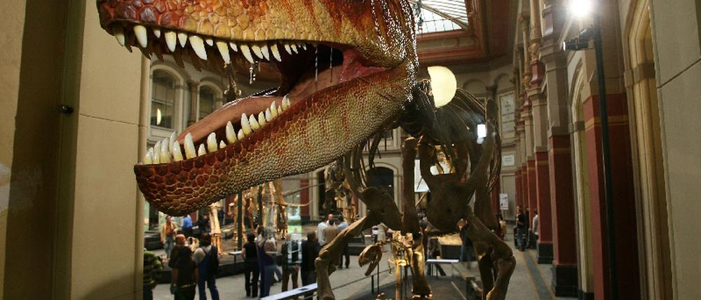 Naturkundemuseum.