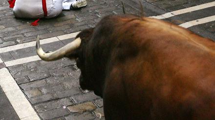 Pamplona