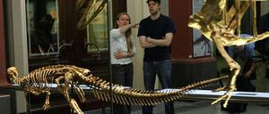 Naturkundemuseum