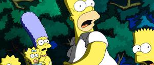 Die Simpsons