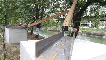 Baumsicherung Landwehrkanal