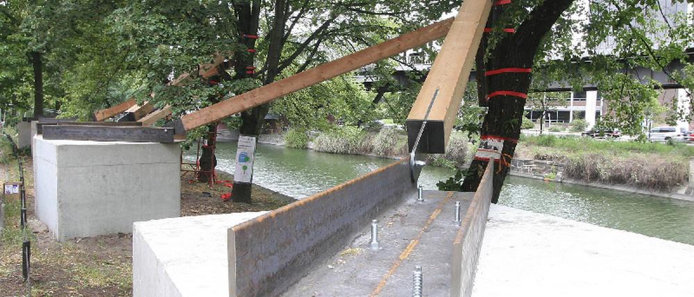 Baumsicherung Landwehrkanal