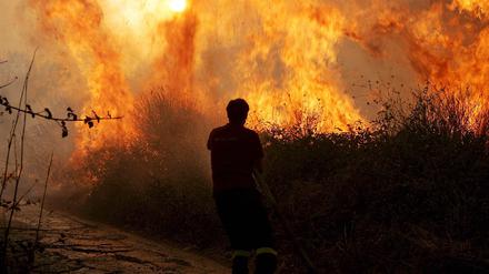 Waldbrand