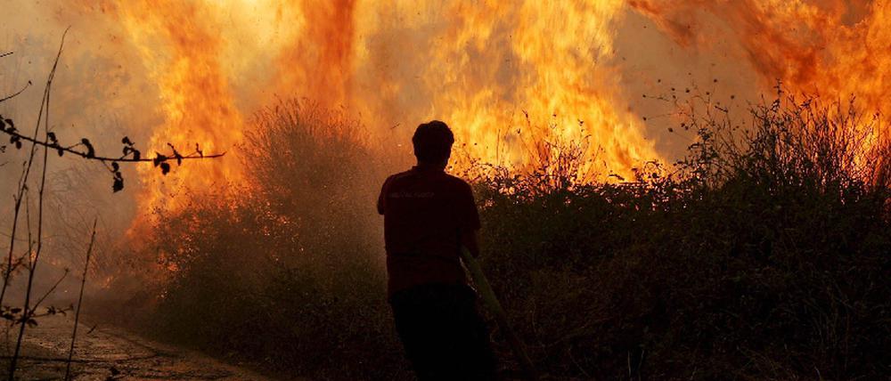 Waldbrand