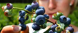 Beeren