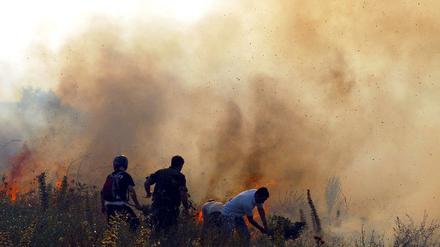 070725waldbrand