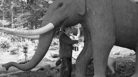 Elefant