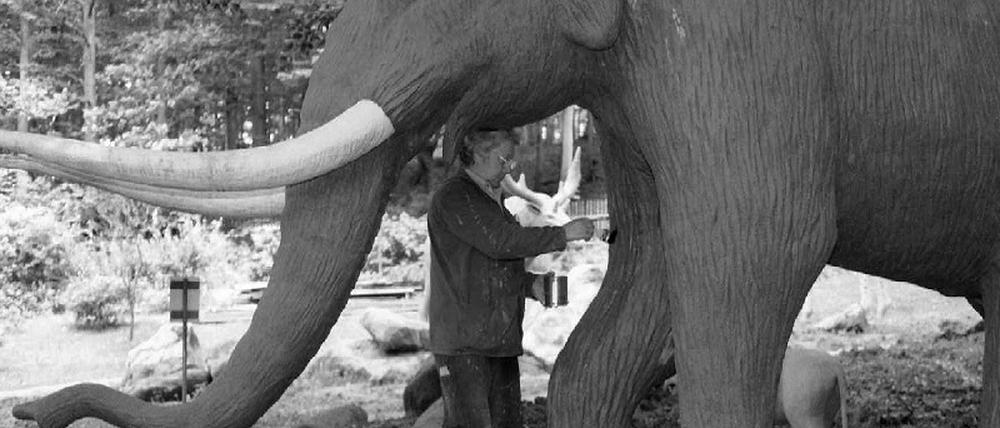 Elefant