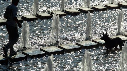 Brunnen vor dem Fernsehturm