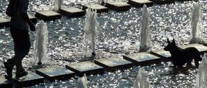 Brunnen vor dem Fernsehturm