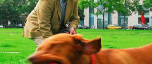 tierschutzbeauftragter