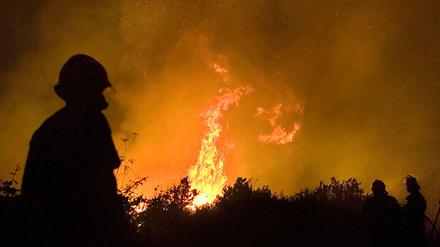 Waldbrand